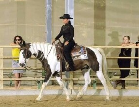 Reiten | © Tina Edenhofer