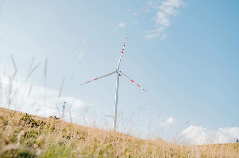 Windmill Sommeralm - Impression #1 | © Tourismusverband Oststeiermark