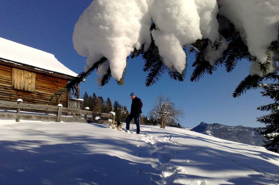 Winter-Bergwandern & Schneeschuhverleih Knödl-Alm/Hochalm - Impression #1 | © Knödl-Alm