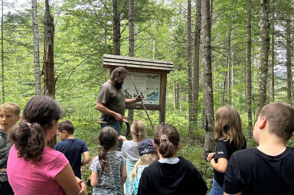 Wolfgang Göschl - Impression #1