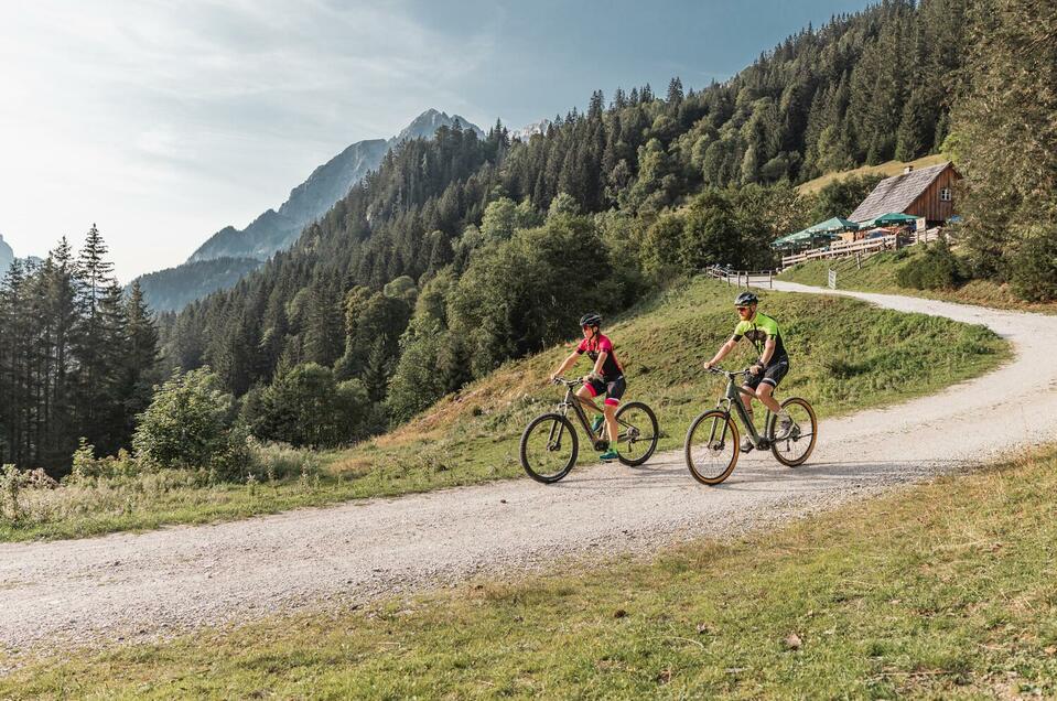 Zeiringeralm - Impression #1 | © Thomas Sattler