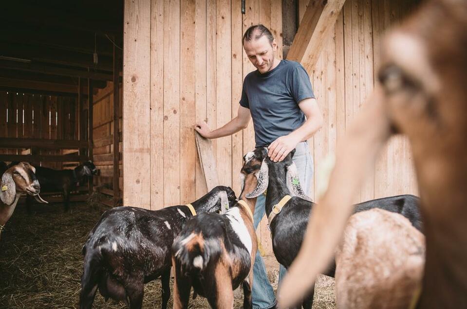 Ziegenhof Ennsleitner - Impression #1 | © Stefan Leitner