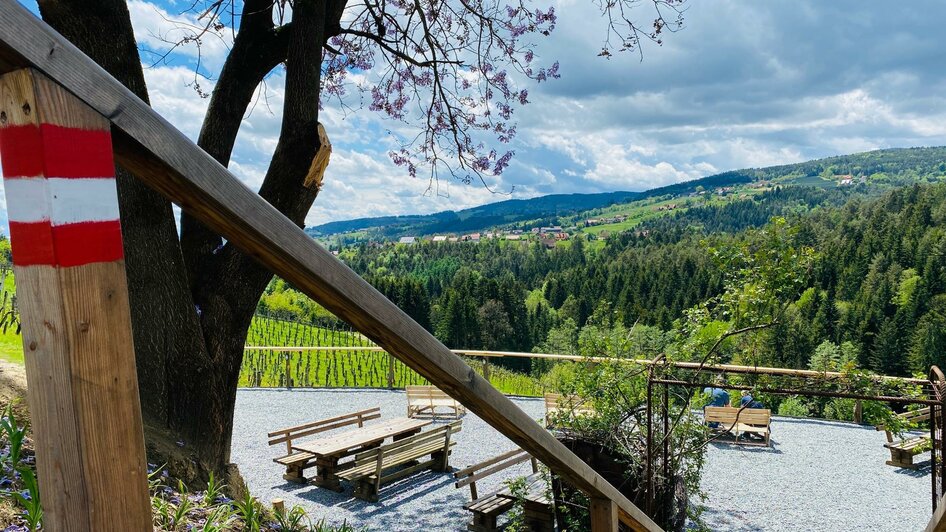 Gundersdorf Florlwirt SB Station Aussicht | © Schilcherland Steiermark