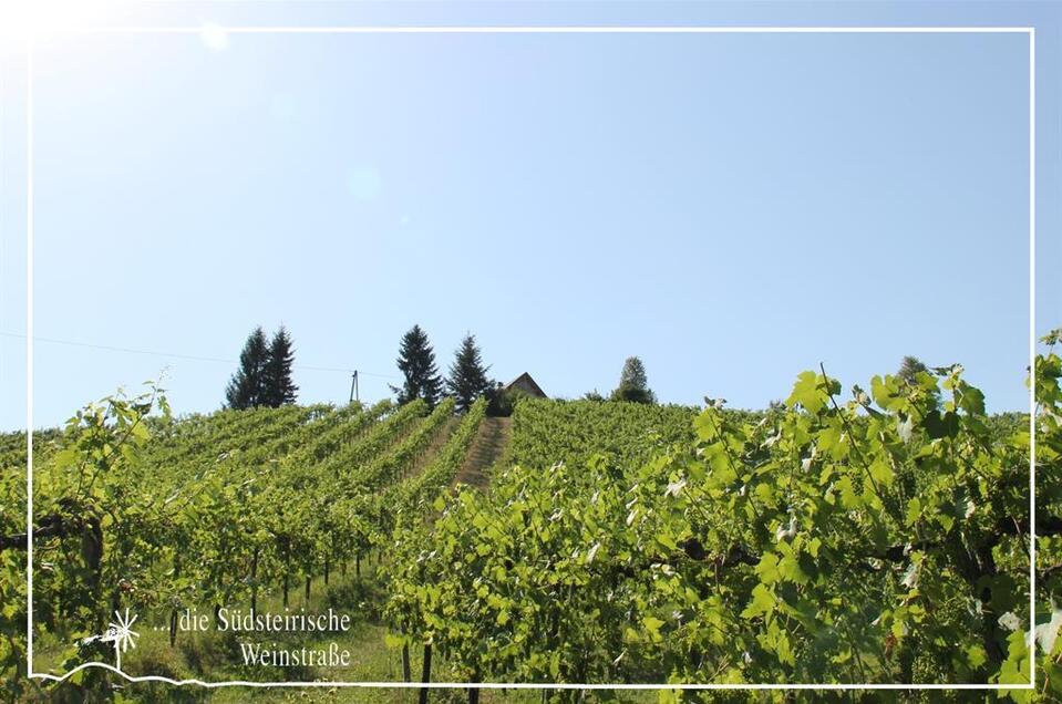 Auto Waltl - Impression #1