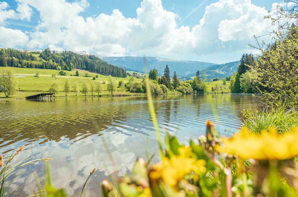 Swimming lake Mühlen - Impression #1 | © Naturpark Zirbitzkogel-Grebenzen