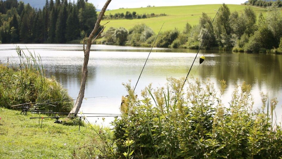 Fischen am Badesee Mühlen | © Camping am Badesee