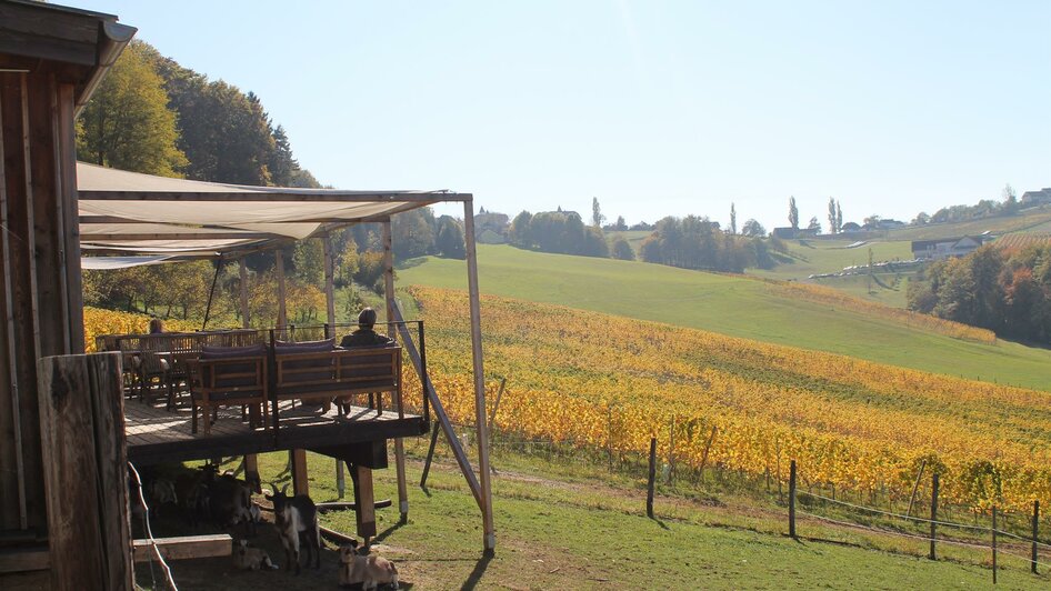 Die Sonne auf der Terrasse der Bärenhütte genießen | © Ulrike Elsneg