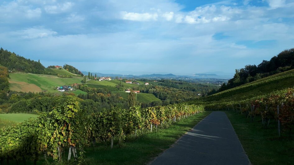 Landschaft rund um den Bogenparcours | © HSV Strass