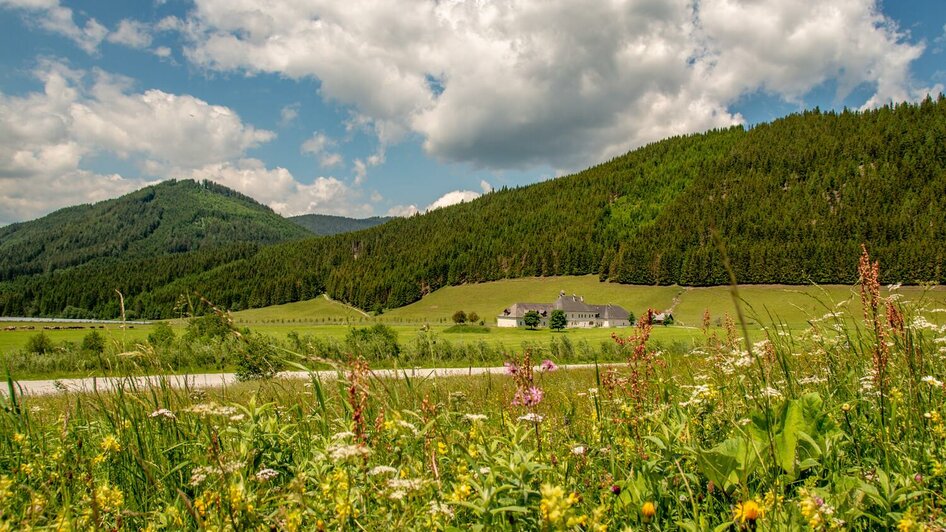 Kaiserau | © Christian Scheucher