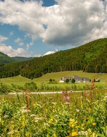 Kaiserau | © Christian Scheucher | © Christian Scheucher