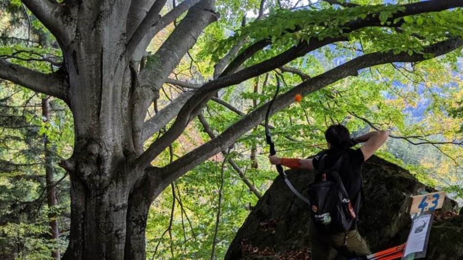 Bogenschießen im Wald | © Bogenparcours Siebernegg