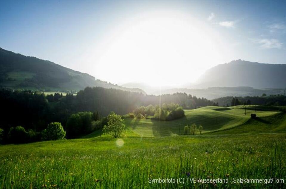 Turmöl Gas station - Impression #1 | © TVB Ausseerland - Salzkammergut_Tom Lamm