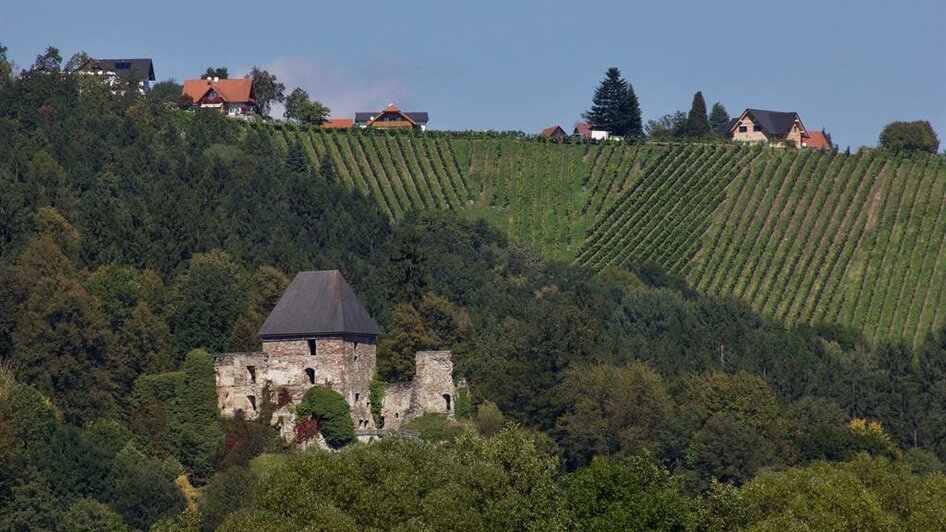 Burgruine Ligist | © Rainer M. Fürstaller