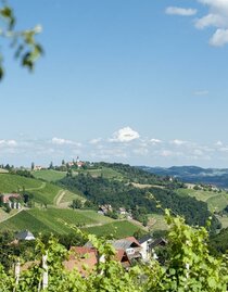 Lage mittem im Weinberg | © Karin Bergmann | © Karin Bergmann