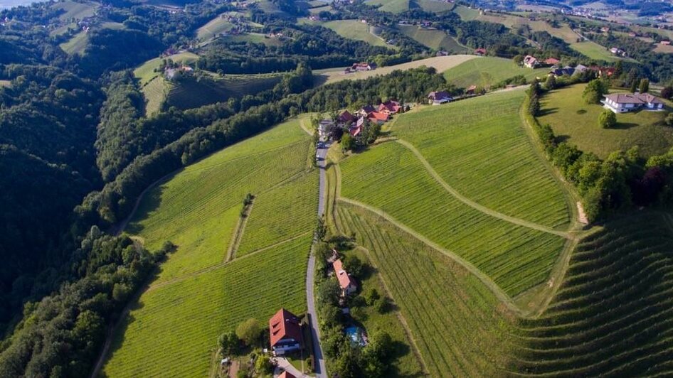 Weingut Schauer Lage | © Weingut Schauer