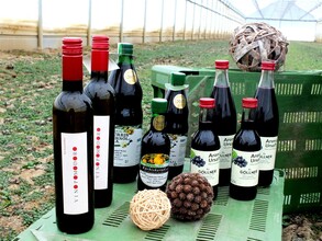 Da Göllner - Gemüse & Bio-Beeren | Familie Weiß | © Julia Leitgeb