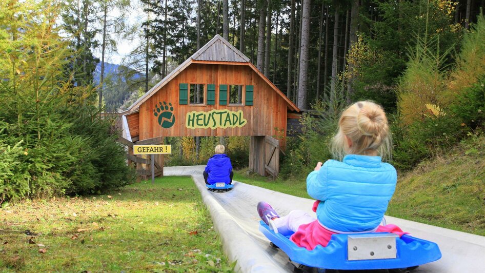 Der Wilde Berg Sommerrodelbahn