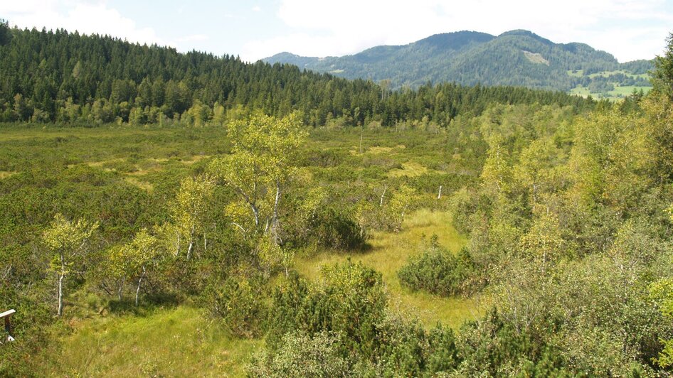 Naturschutzgebiet Dürnberger Moor | © Archiv Naturpark Zirbitzkogel-Grebenzen