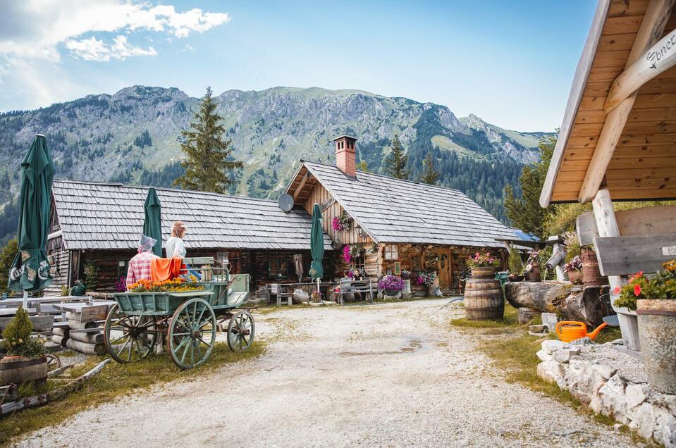 Ebneralm - Impression #1 | © Thomas Sattler