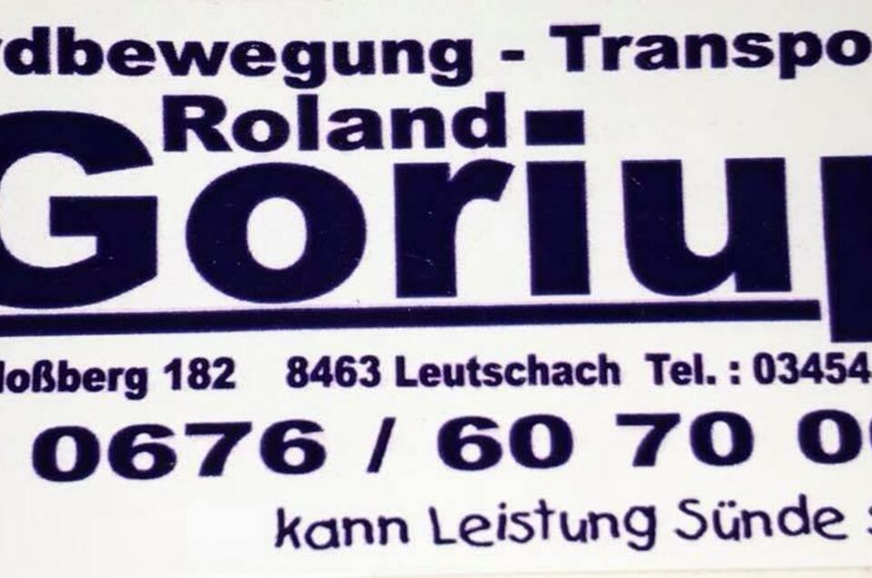 Erdbewegung Roland Goriup - Impression #1