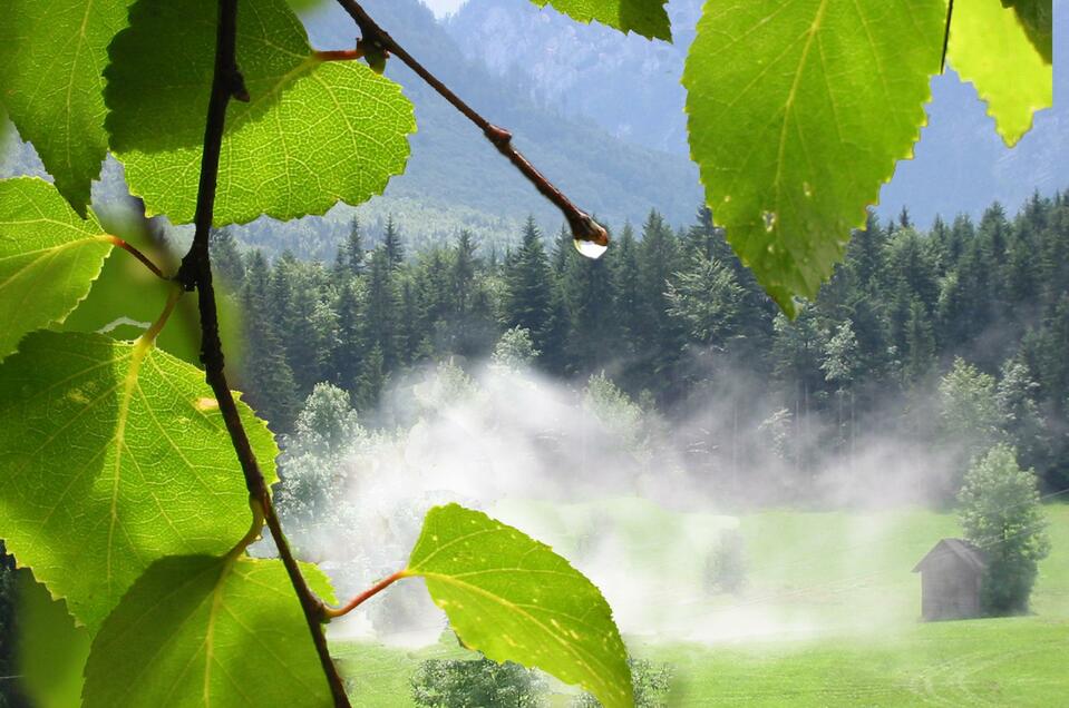 Specialist Institute for Healing Massage and Sports Therapy Stix Erik - Impression #1 | © TVB Ausseerland - Salzkammergut_Eva Griese