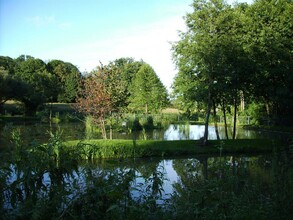 Fischteich