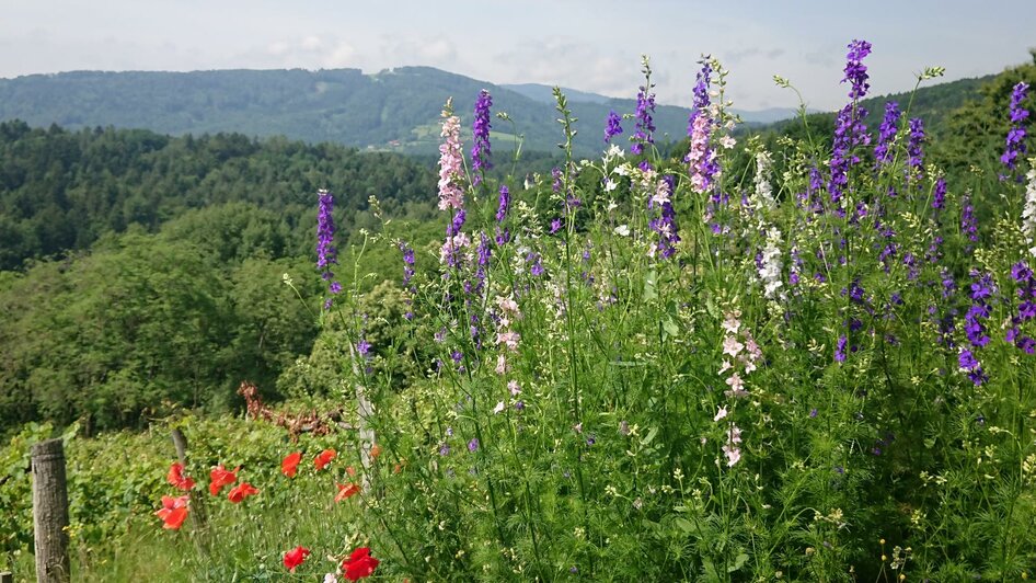 Blick zur Koralpe | © Familie Deutschmann