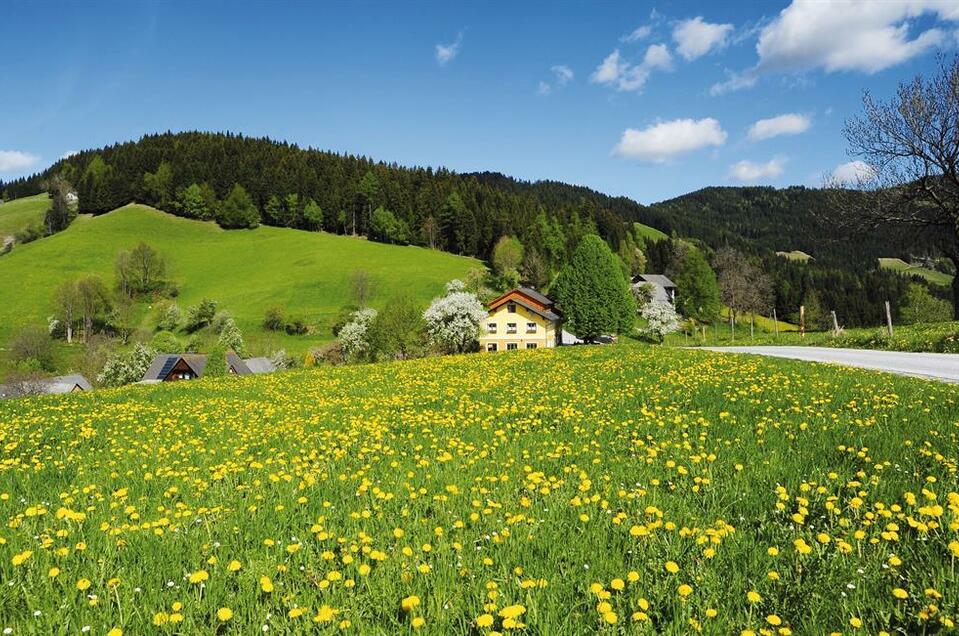 Gasthaus Jägerwirt - Impression #1 | © Familie Wipfler