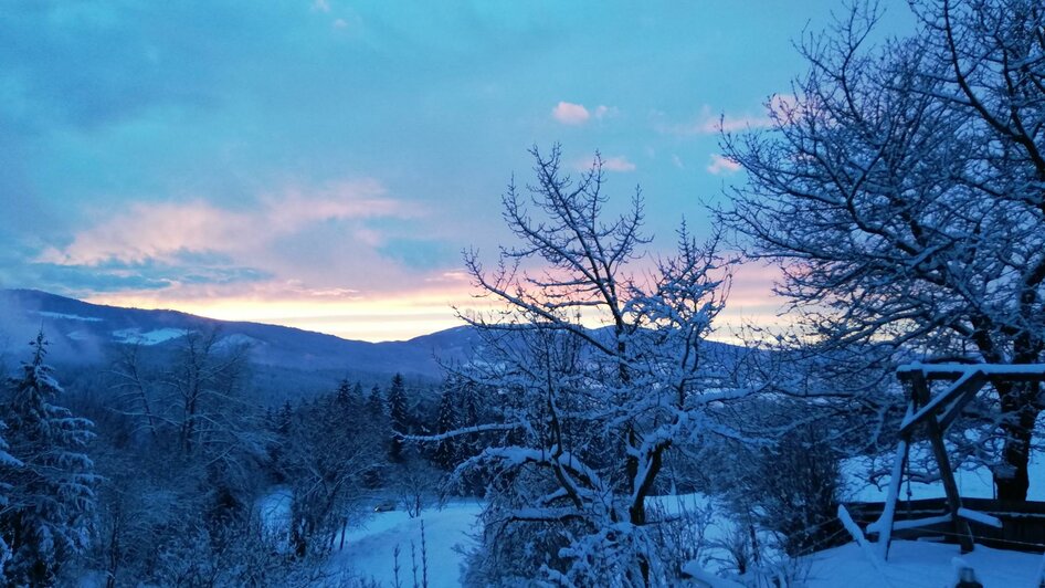 Ausblick Winter | © Gasthof Steiner