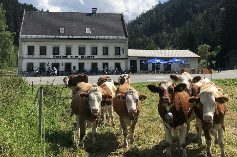 Gasthof "Zum Maurer" - Impression #1 | © Fam. Maurer