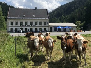 Gasthof Zum Maurer in Wegscheid | © Fam. Maurer