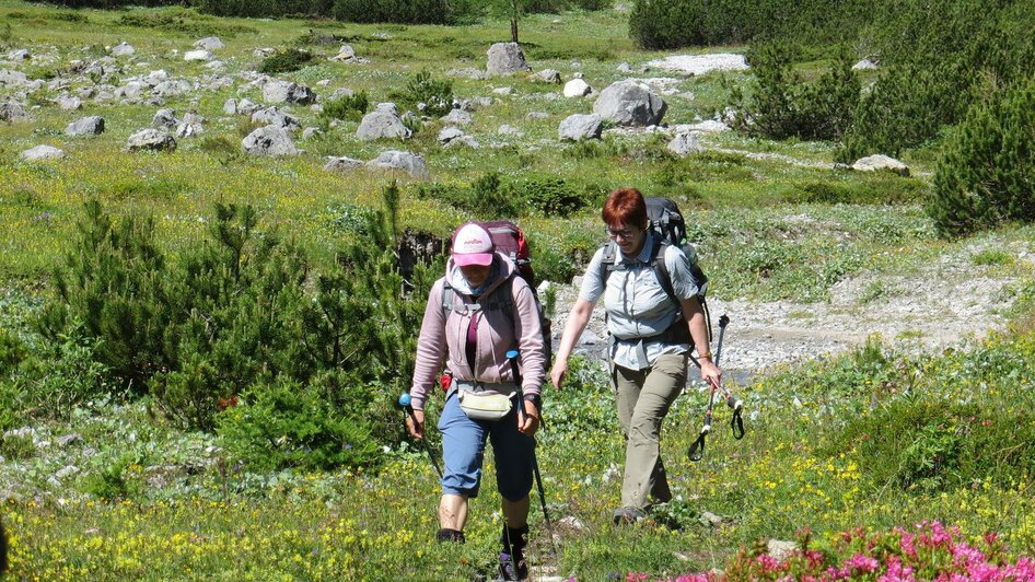 Geführte Wanderung