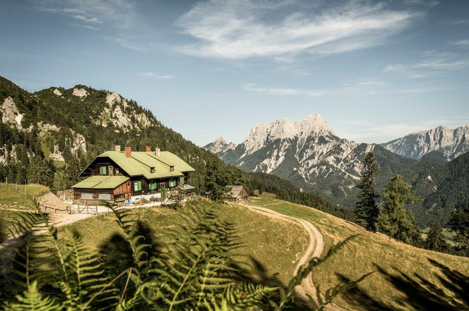 Grabneralm - Impression #1 | © Stefan Leitner