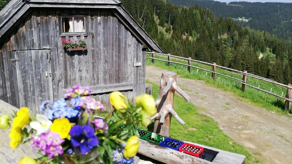 Hütte mit Brunnen