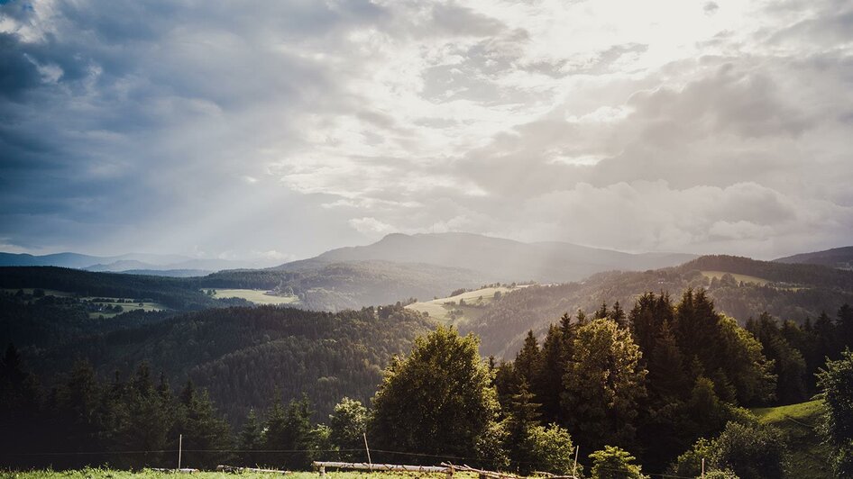 Panorama - Hof Herkhof im Schilcherland | © Herkhof