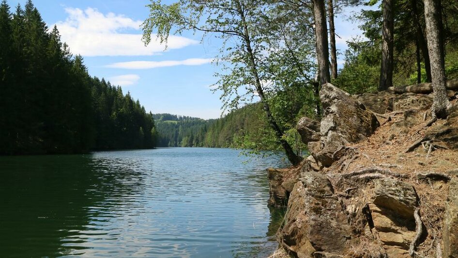 Hirzmann Stausee_Ufer | © Clemens Stockner