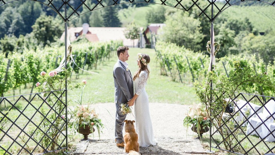 Hochzeitspavillon am Hochzeitsweingut Kranachberg | © Karin Bergmann Photographer