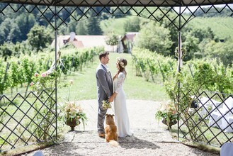 Hochzeitspavillon am Hochzeitsweingut Kranachberg | © Karin Bergmann Photographer