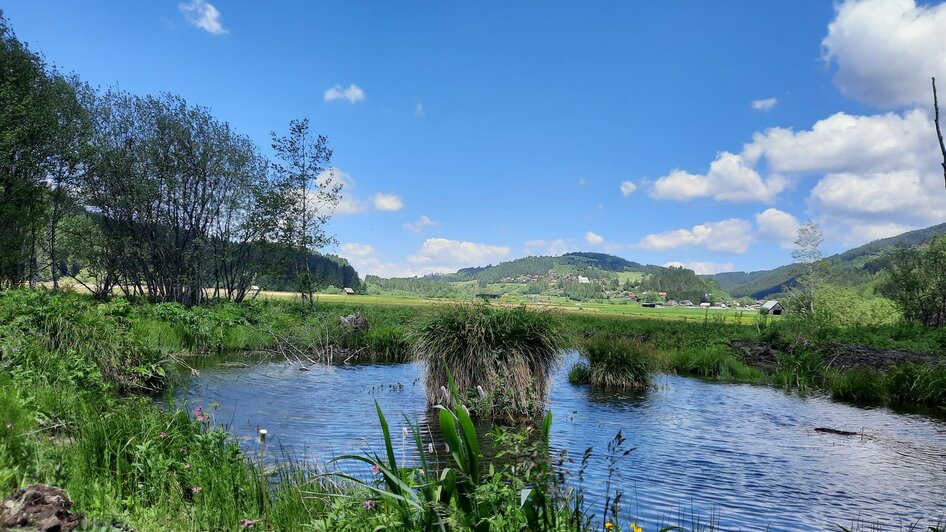 Naturjuwel Hörfeld-Moor | © Jaqueline Jakobitsch