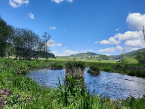 Naturjuwel Hörfeld-Moor | © Jaqueline Jakobitsch