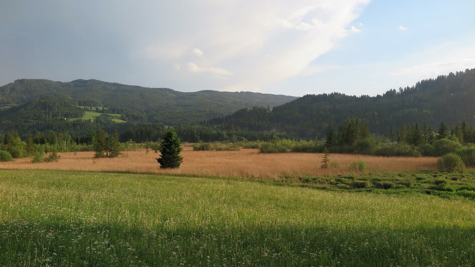 Blick über das Hörfeld-Moor | © Archiv Naturpark Zirbitzkogel-Grebenzen