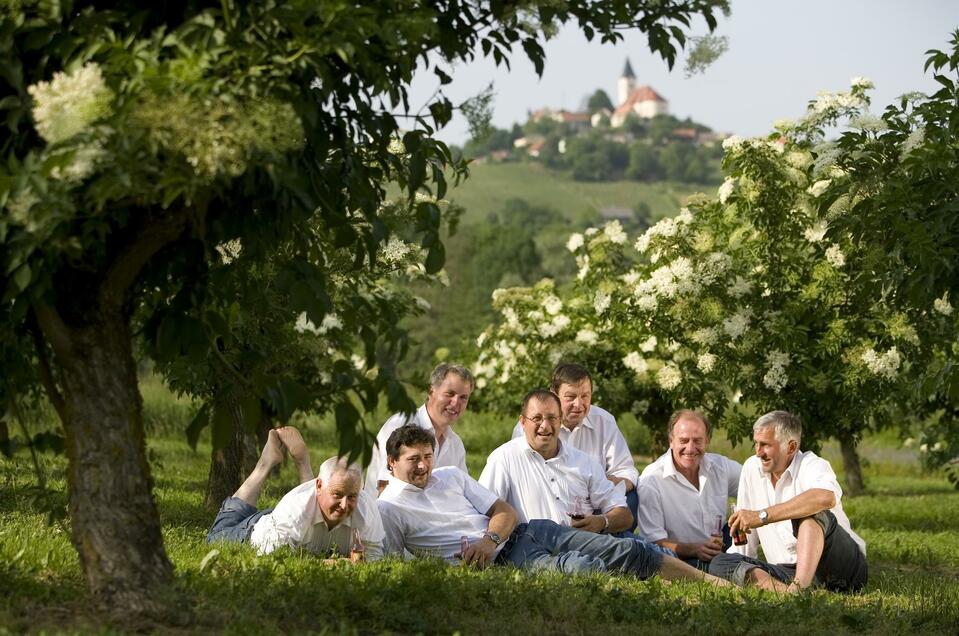 Holler Vulkan - Die Vitalkraft aus dem Vulkanland Steiermark - Impression #1 | © August Wohlkinger