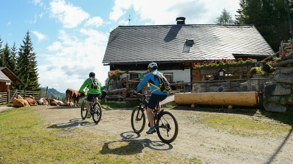 Jaga Alm von Frauenberg aus | © TV Kapfenberg