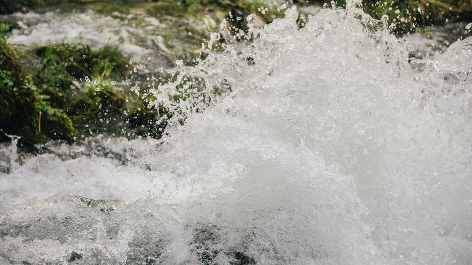 Das Wiener Wasser kommt aus Widlalpen! | © Stefan Leitner