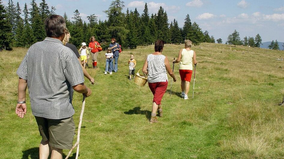 4 Hütten-Wanderung | © Steirischen Rucksackdörfer