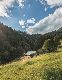 Die Kölblalm | © Thomas Sattler | © Thomas Sattler