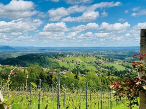 Ausblick Kraxnerkapelle, Langegg | © Schilcherland Steiermark