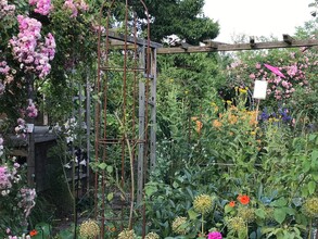 KunstGarten Graz: Blühende Gartenkunst | © kunstGarten