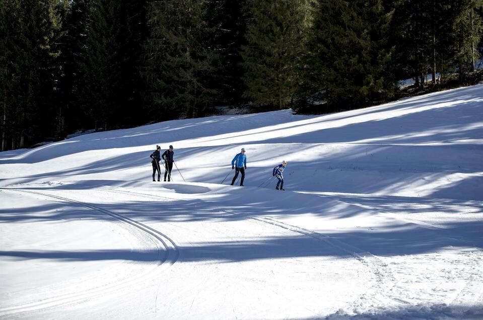 Cross-country skiing region Murau/Weirerteichloipe - Impression #1