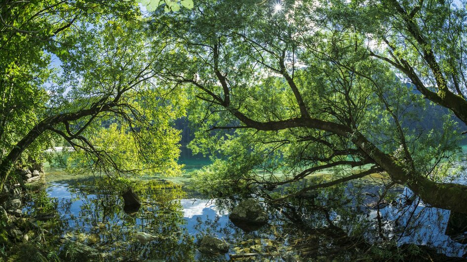 Mystischer Leopoldsteinersee | © Steiermark Tourismus